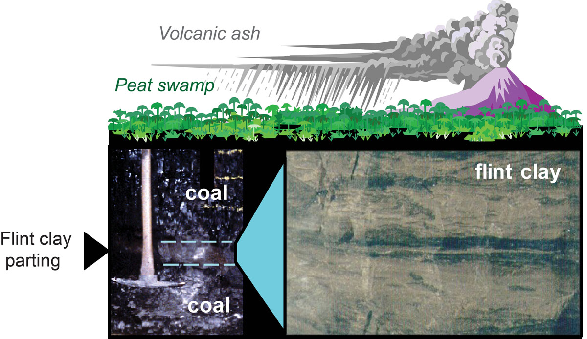 The Fire Clay coal bed in eastern Kentucky contains a parting that originated as a volcanic ash fall.